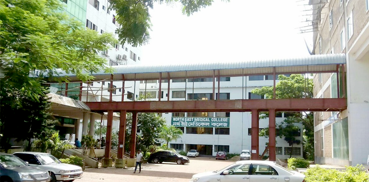 North East Medical College